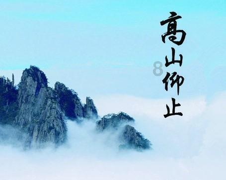 生物试剂盒是什么